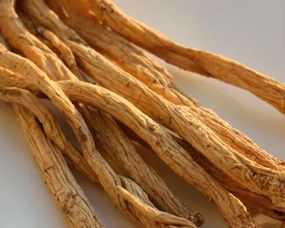 即墨古城年味濃 趕年集購隴南天麻，賞白馬人歌舞迎新春