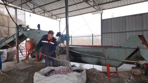 庫爾勒廢舊物資回收加工產(chǎn)業(yè)園吹響春節(jié)復(fù)工集結(jié)號